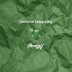 tortoise telepahty