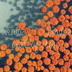 Overdoz (prod. by Zenus)