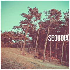 Sequoia