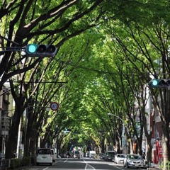 キノミキノママ