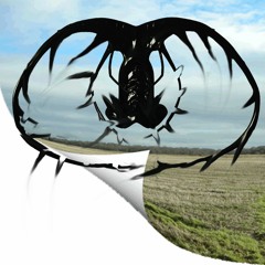 Xhdbirdsound