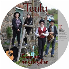 Cwynion ac Ysbrydion sampler