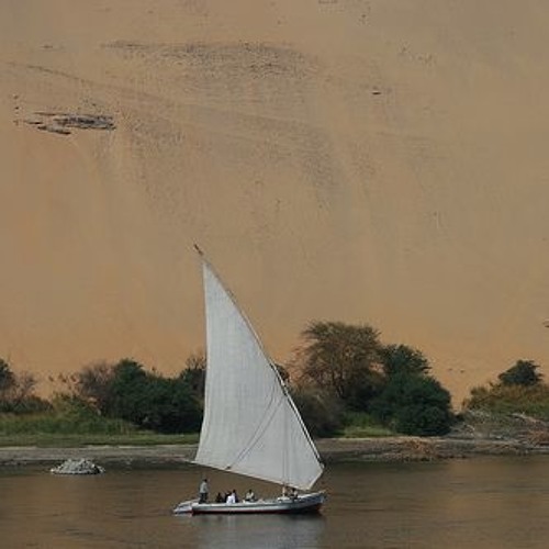 نصيبي - كف أسواني