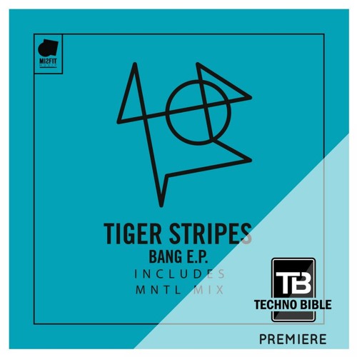 TB Premiere: Tiger Stripes - Bang [Misfit Music]