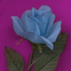 La Tumba De Las Luciernagas