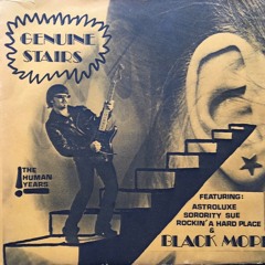 Genuine Stairs - Black moped