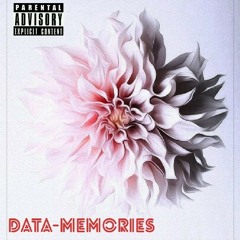 Data-Memories