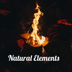 Peter Posession - Natural Elements(Original Mix)