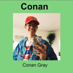 You Think Im Crazy -Conan Gray