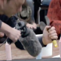 Ram Samocha, The Sound of Drawing, 2017