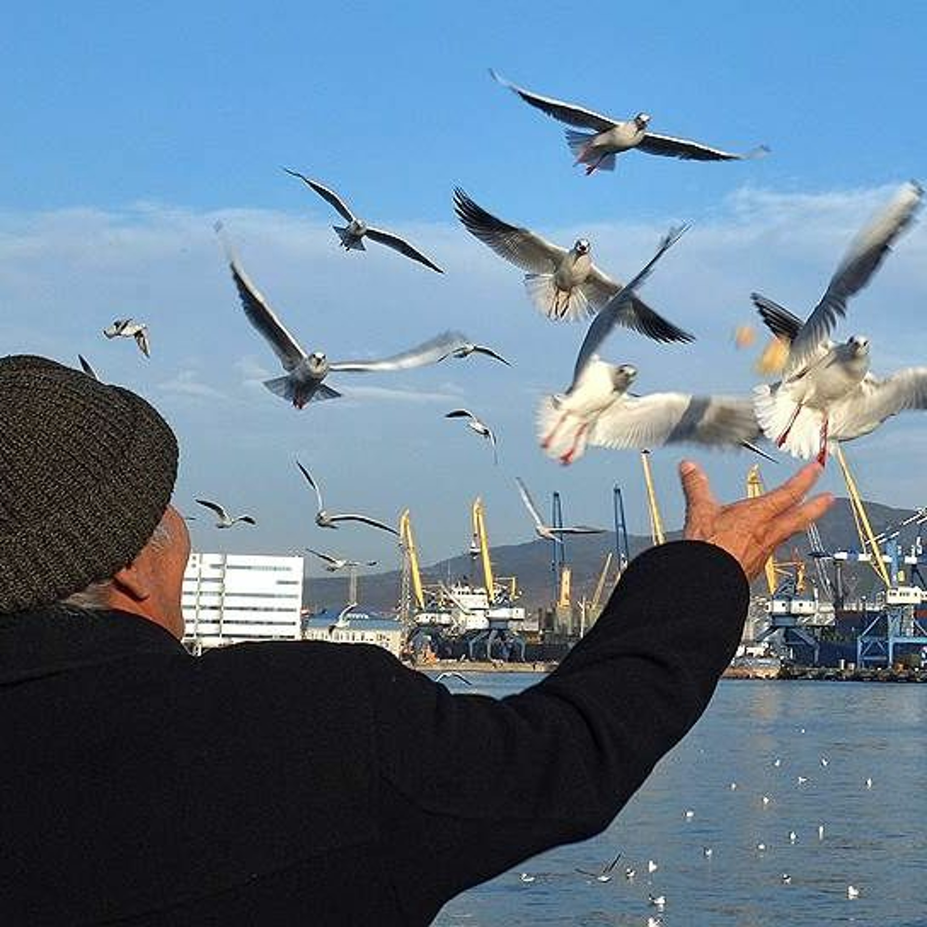 «Сумма» продает самое дорогое