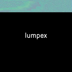 Lumpex @ Rhizom Festival 2017