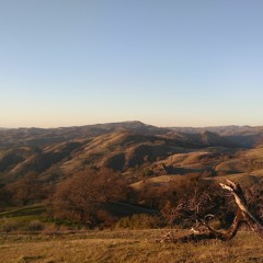 City Calm Down / Going Home