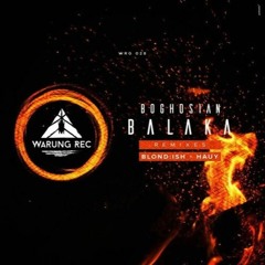 WRG028 Boghosian - Balaka (Hauy Remix)
