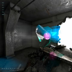 Shöckface x Trakrunner  - Schism