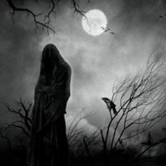 BlinD Cr0w - I`m Living In A Hell