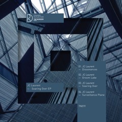 JC Laurent - Surveillance Plane