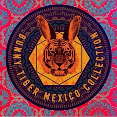 Andy Woldman - Echo (Original Mix)[Bunny Tiger][Snipet]