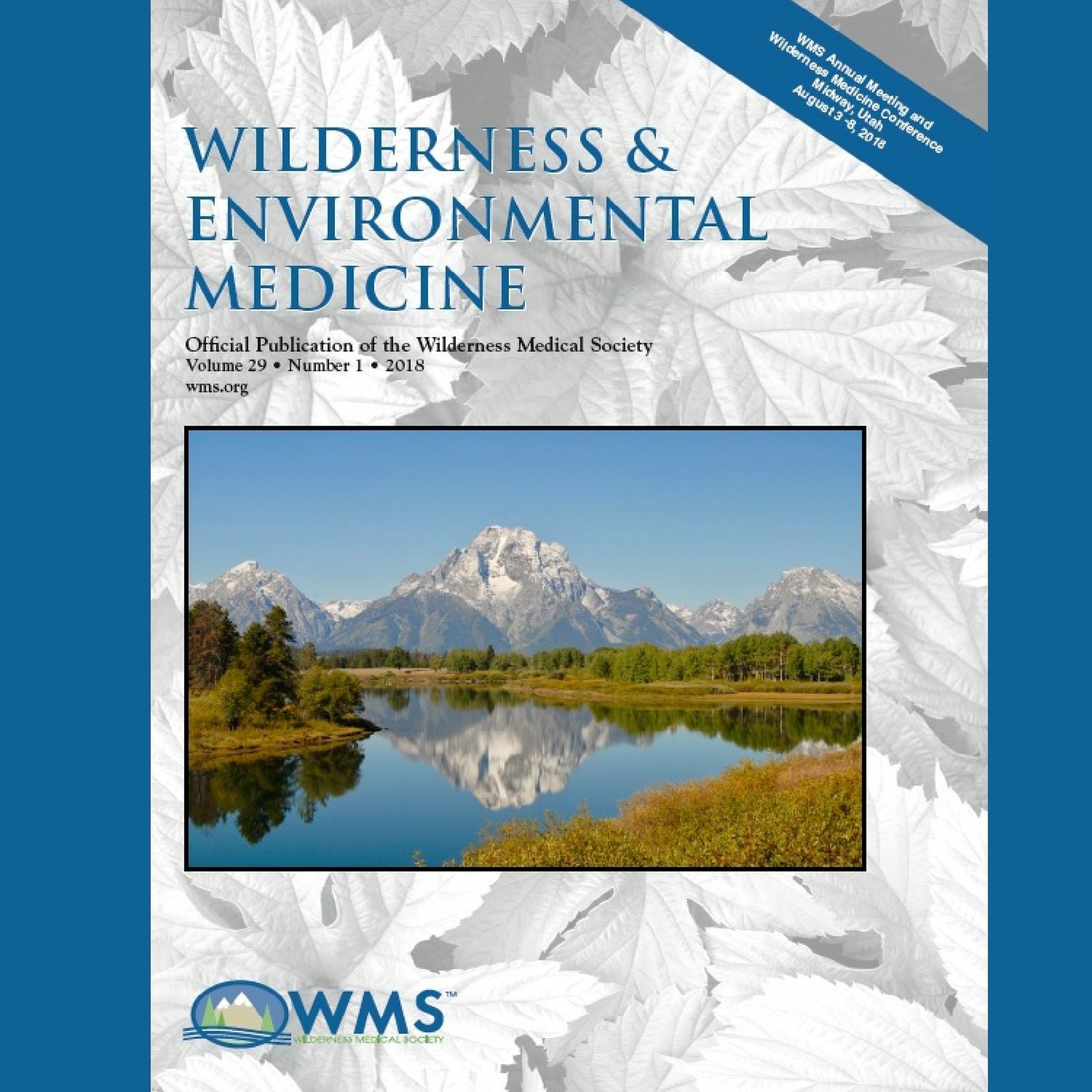 Wilderness Medicine Podcast