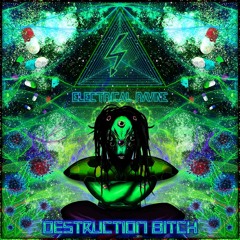 Destruction Bitch [175BPM]