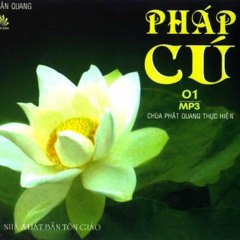 Tuấn mã _ Pháp Cú 11 [GỐC] - TT. Thích Chân Quang