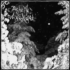 Bekëth Nexëhmü - En Förglömd Ursjäl