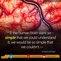 Centuries Coalesce - Movement IV