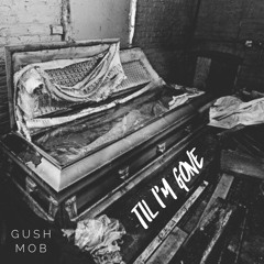 Til I'm Gone feat. Lux x Chip Kip