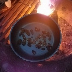 Celebrated Visitor (MP3 version)