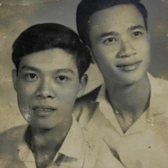 Lá thư đô thị - Lưu Phụng