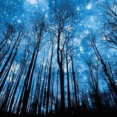 BLUE NIGHT SESSION 2018 BRIAN VELARDE