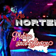 Las Nortenas 20DieciOcho -Plebiyo 5incoSie7e Razza!!