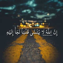 طالب العلم - ربيع حافظ