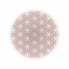 The Wisest Book Ever Written! (Law Of Attraction) Learn THIS!