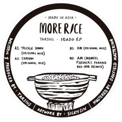 PREMIERE: DOTT - Unbreakable (Eric Volta remix) [More Rice]