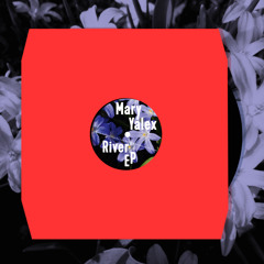 Mary Yalex - Metallic Elements (KANN34)