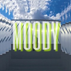 Track #3 - M00DY
