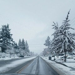 Fuck The System (LEAK)