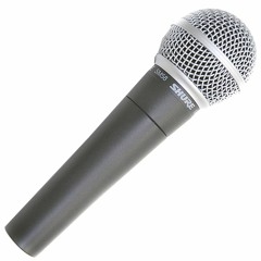 SHURE SM58