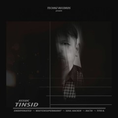 Assuc - Tinsid (Waffensupermarkt Remix)