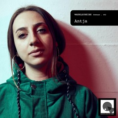 Waehlscheibe Podcast 002 - Antja