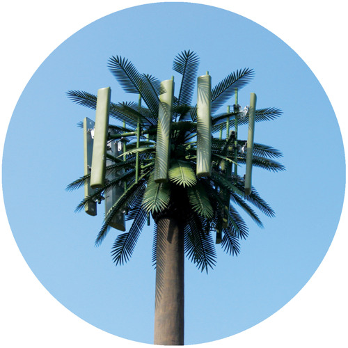 Harrison BDP - Panacea [Lost Palms]