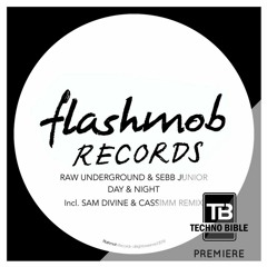 TB Premiere: Raw Underground & Sebb Junior - Day & Night (Sam Divine & CASSIMM Remix) [Flashmob Rec]