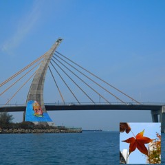 After 2018 Spring Festival
