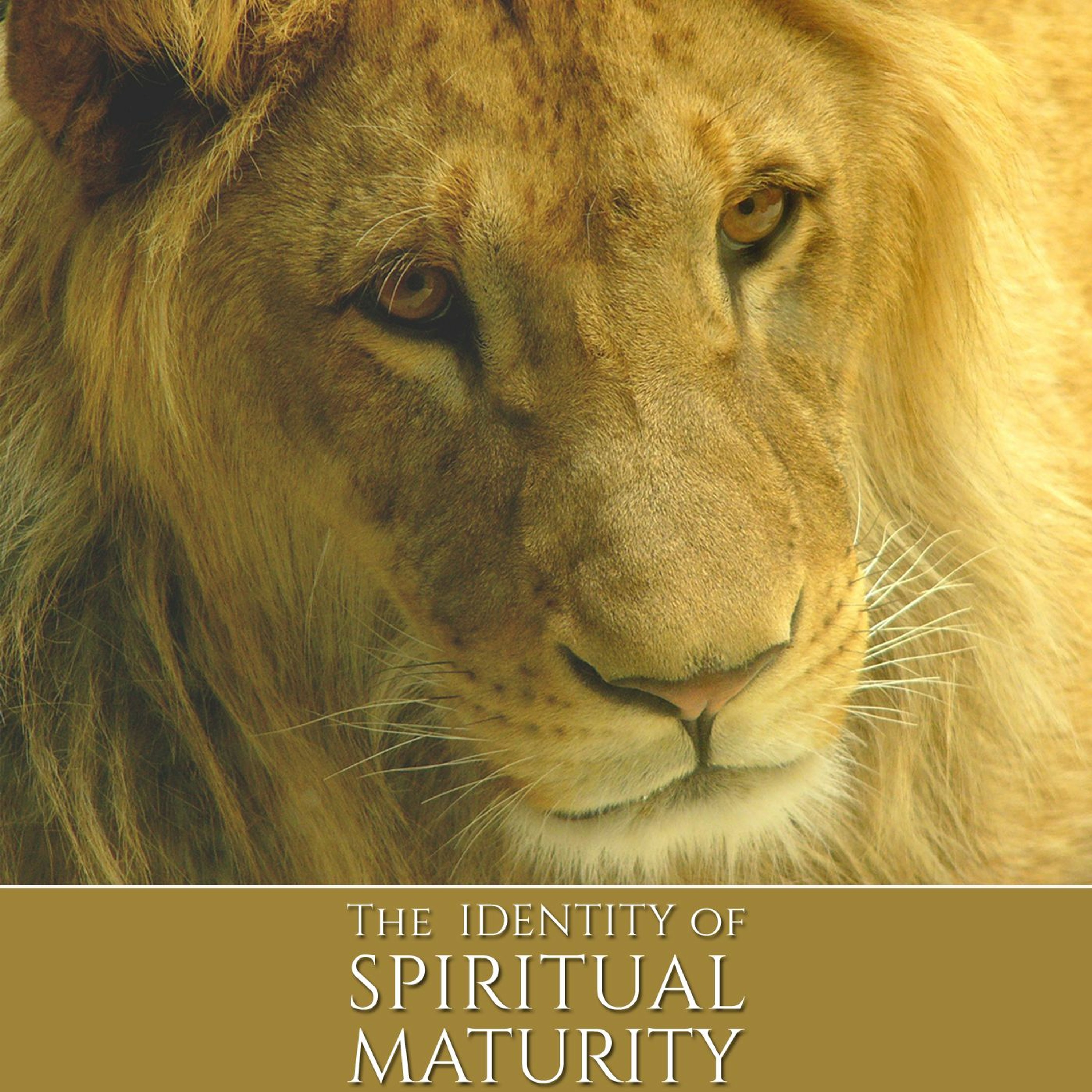 The Identity of Spiritual Maturity episode artwork