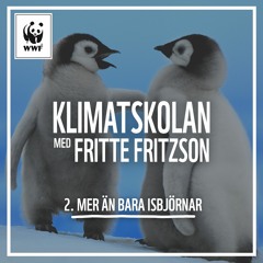 Klimatskolan, avsnitt 2: Mer än bara isbjörnar!