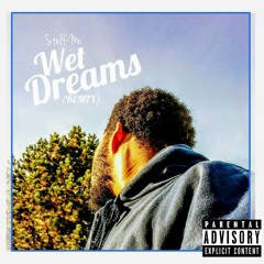 Wet Dreams (Remix)