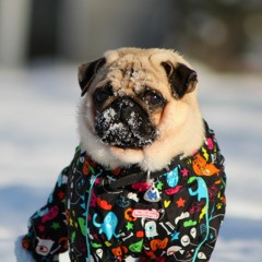 แลรักนิรันด์กาล