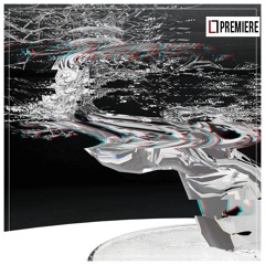 PREMIERE: T-Scale - Germ-In IX (FTM001)