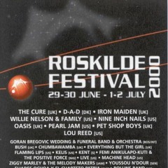 The The - 2000-06-03 - Roskilde - Heartland (live)